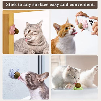 Bolas de catnip que grudam na parede para gatos Brinquedos de catnip. Limpeza saudável dos dentes de gatinhos Brinquedos de mastigação dentais Guloseimas