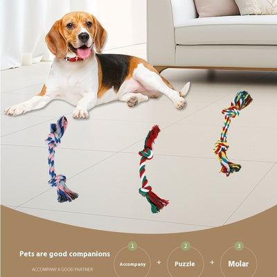 Brinquedo de corda para mordida de cachorro, nó molar, resistente à mordida, cor, nó duplo, brinquedo de corda de algodão