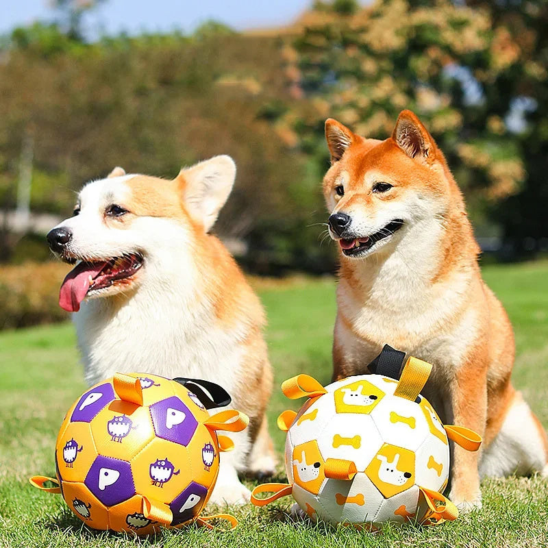 Brinquedos interativos para cães, bolas de futebol para crianças, treinamento ao ar livre, pet, mordida esportiva