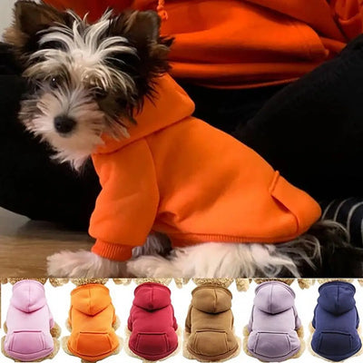Moletom com capuz para cachorro, filhote, animal de estimação, outono/inverno, com bolso, para cães e gatos de duas patas.